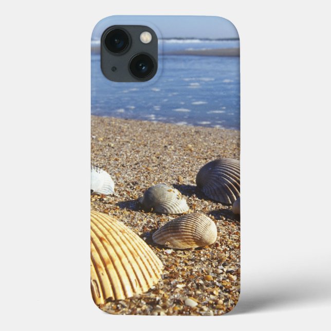 Coques Case-Mate iPhone États-Unis, Floride, coquillages côtiers (Verso)