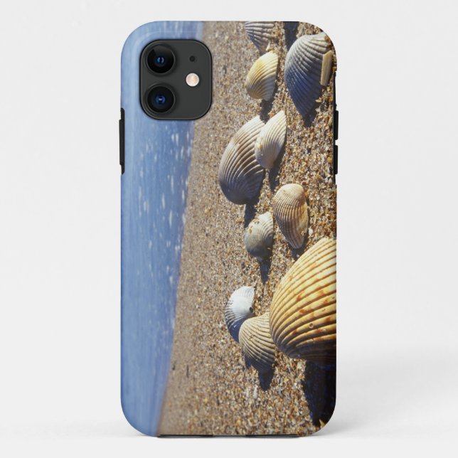Coques Case-Mate iPhone États-Unis, Floride, coquillages marins côtiers (Dos)