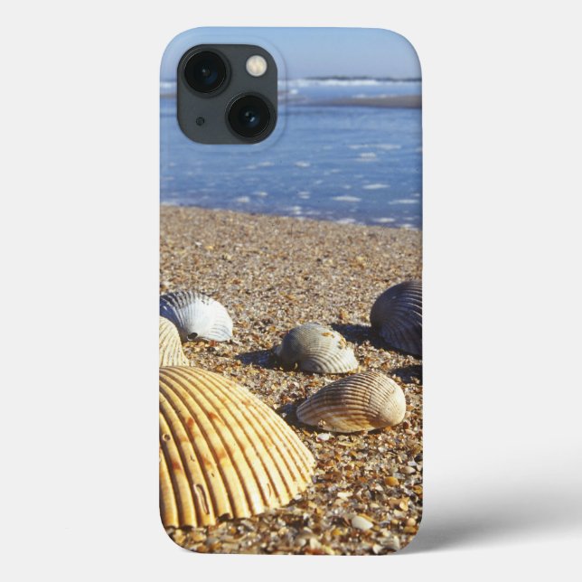 Coques Case-Mate iPhone États-Unis, Floride, coquillages marins côtiers (Verso)