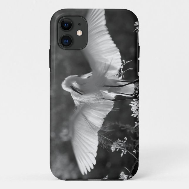 Coques Case-Mate iPhone États-Unis, Floride, Grande Aigrette (Ardea alba)  (Dos)