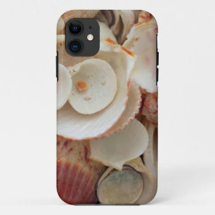 Coque iPhone 11 États-Unis, Floride. Gros plan de coquillages sur