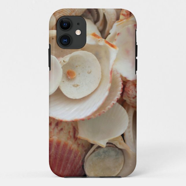 Coques Case-Mate iPhone États-Unis, Floride. Gros plan de coquillages sur  (Dos)