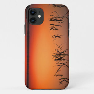 Coque iPhone 11 États-Unis, Floride. Silhouettes de branches d'arb