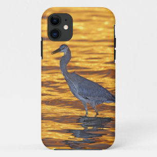 Case-Mate iPhone Case États-Unis, Floride, St. Petersburg, Fort De Soto 