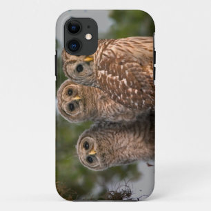 Coque Case-Mate iPhone États-Unis, Floride, Viera Wetlands. Trois barrés
