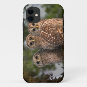 Coque Case-Mate Pour iPhone États-Unis, Floride, Viera Wetlands. Trois barrés