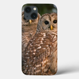 Etui iPhone 13 États-Unis, Floride, Viera Wetlands. Trois barrés
