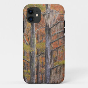 Coque Case-Mate Pour iPhone États-Unis, Géorgie, George Smith State Park, Cypr