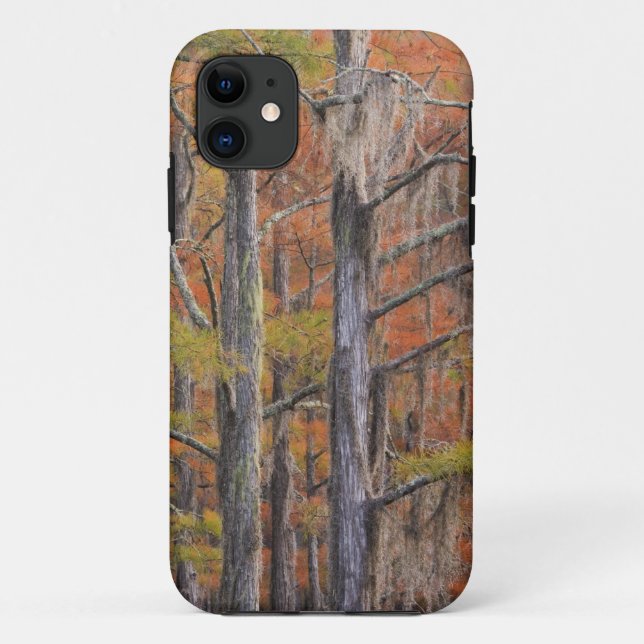 Coques Case-Mate iPhone États-Unis, Géorgie, George Smith State Park, Cypr (Dos)
