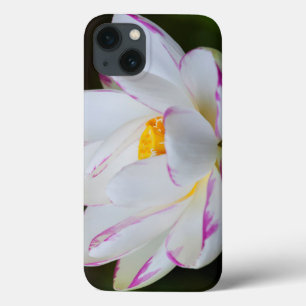 Case-Mate iPhone Case États-Unis, Géorgie, Savannah, Floraison de lotus