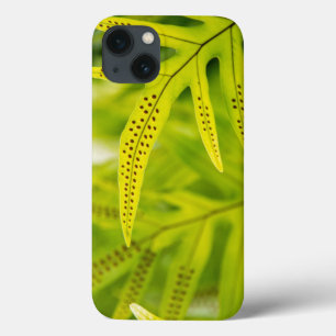 iPhone 13 Case États-Unis, Hawaï, Grande Île. Fougère verte tropi