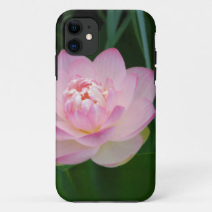Coque Case-Mate Pour iPhone États-Unis, Kansas, Nymphaea odorata