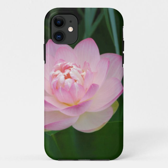 Coques Case-Mate iPhone États-Unis, Kansas, Nymphaea odorata (Dos)