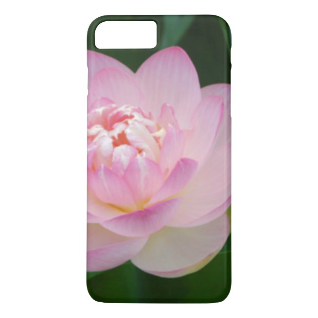 Coques Case-Mate iPhone États-Unis, Kansas, Nymphaea odorata (Dos)