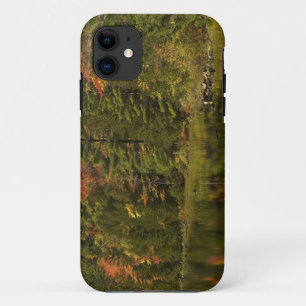 Coques Pour iPhone États-Unis; Maine; Parc national d'Acadia. Réflexi