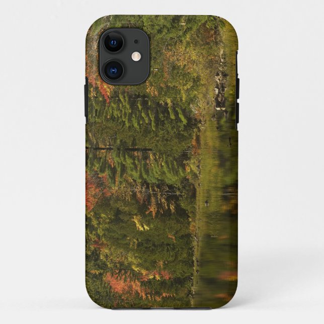 Coques Case-Mate iPhone États-Unis; Maine; Parc national d'Acadia. Réflexi (Dos)