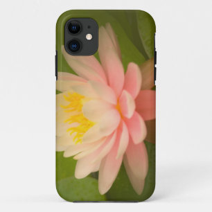 Coque Case-Mate iPhone États-Unis, Maryland, Westminster, Union