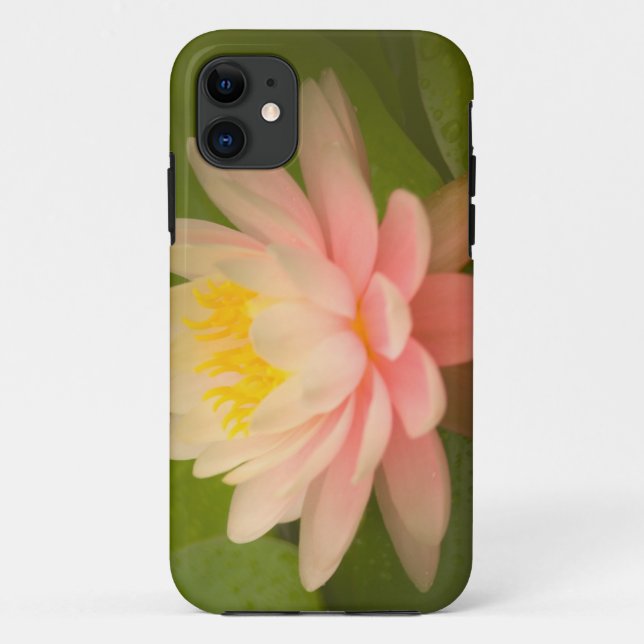 Coques Case-Mate iPhone États-Unis, Maryland, Westminster, Union (Dos)