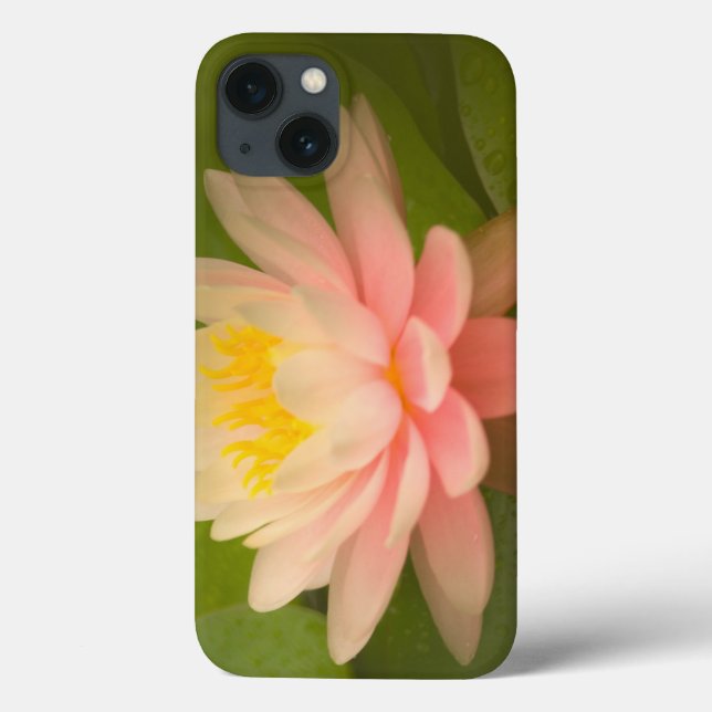 Coques Case-Mate iPhone États-Unis, Maryland, Westminster, Union (Verso)