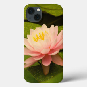 Coque Case-Mate iPhone États-Unis, Maryland, Westminster, Union 2