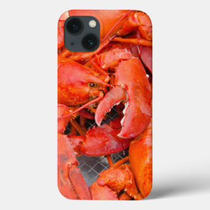 Coques Pour iPhone États-Unis, Massachusetts, Martha's Vineyard