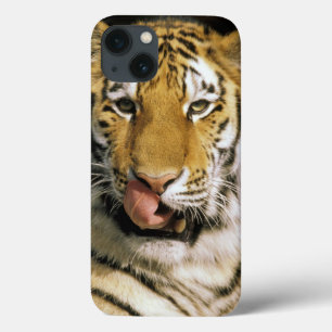 iPhone 13 Case États-Unis, Michigan, Détroit. Zoo de Détroit, tig