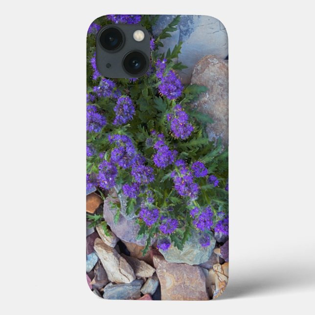 Coques Case-Mate iPhone États-Unis, Montana, Parc national du Glacier (Verso)