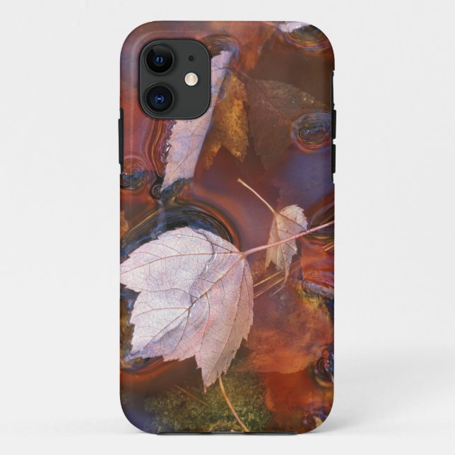 Coques Case-Mate iPhone États-Unis, Nord-Est, Feuilles d'automne dans une  (Dos)