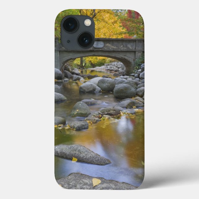 Coques Case-Mate iPhone États-Unis, Oregon, Ashland, Lithia Park. Automne (Verso)