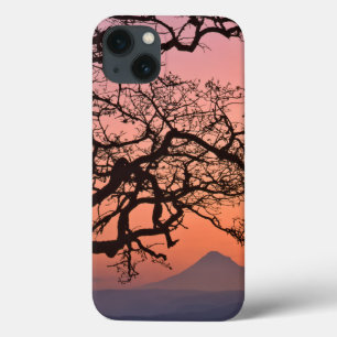 Etui iPhone Case-Mate États-Unis, Oregon, Columbia River Gorge National 