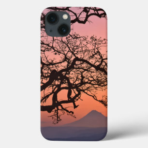 Coques Pour iPhone États-Unis, Oregon, Columbia River Gorge National 