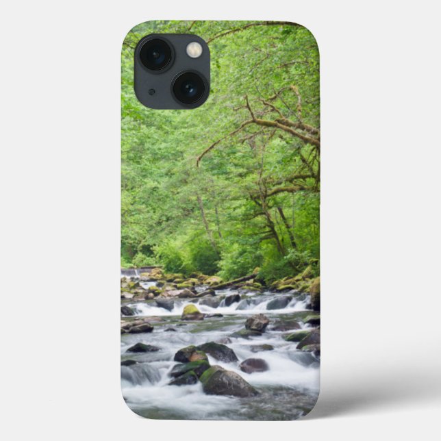 Coques Case-Mate iPhone États-Unis, Oregon, Columbia River Gorge, Tanner C (Verso)