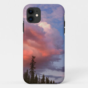 Coque Case-Mate Pour iPhone États-Unis, Oregon, Forêt nationale d'Umpqua. Orag