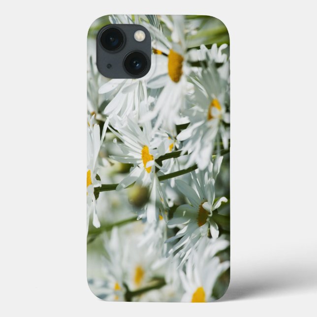 Coques Case-Mate iPhone États-Unis, Oregon, vallée de Willamette, sélectif (Verso)