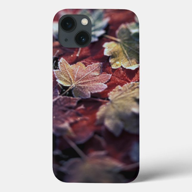Coques Case-Mate iPhone États-Unis, Pacifique Nord-Ouest. feuille d'érable (Verso)