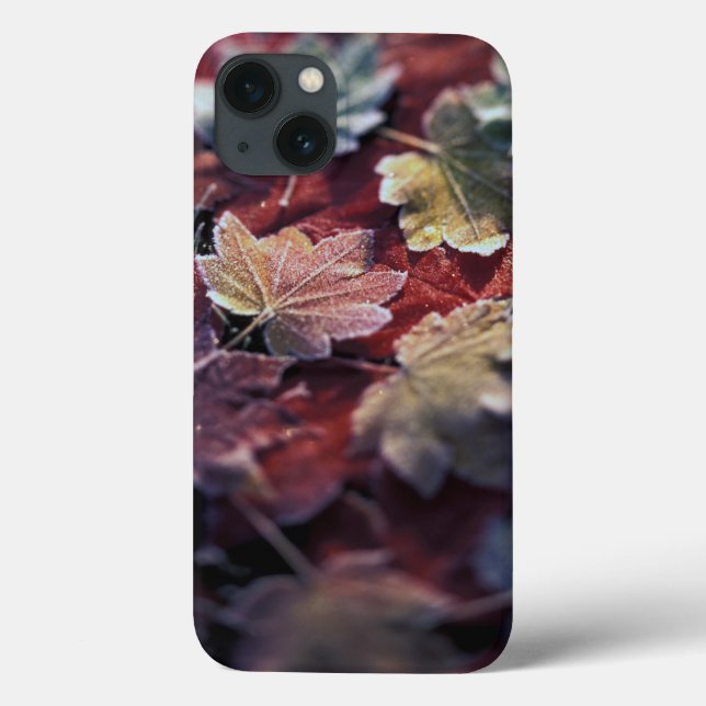 Coques Case-Mate iPhone États-Unis, Pacifique Nord-Ouest. Feuilles d'érabl (Verso)