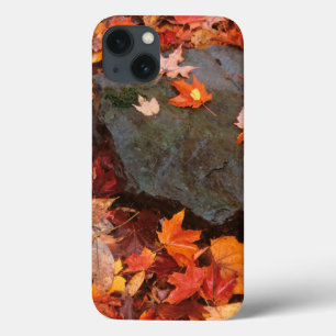 iPhone 13 Coque États-Unis, Pennsylvanie. Gros plan sur le sol for