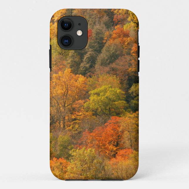 Coques Case-Mate iPhone États-Unis, Tennessee. Feuillage d'automne 2 (Dos)
