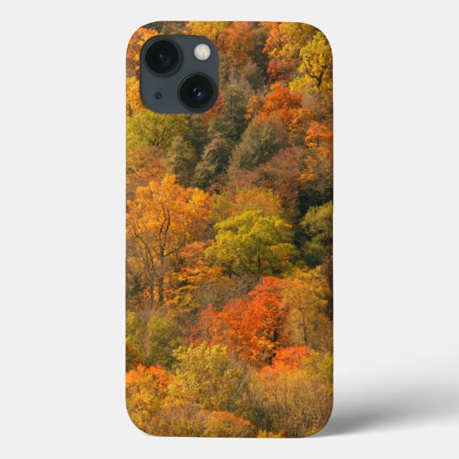 Coques Case-Mate iPhone États-Unis, Tennessee. Feuillage d'automne 2 (Verso)