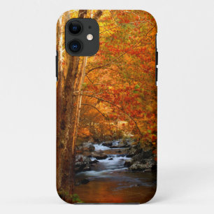 Etui iPhone Case-Mate États-Unis, Tennessee. Ruisseau Rushing Mountain 