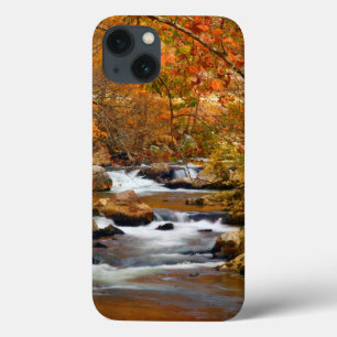 Etui iPhone 13 États-Unis, Tennessee. Rushing Mountain Creek