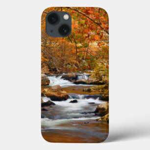 Etui iPhone 13 États-Unis, Tennessee. Rushing Mountain Creek