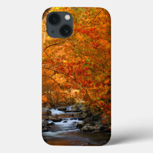 Coque Case-Mate iPhone États-Unis, Tennessee. Rushing Mountain Creek 2