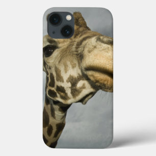 iPhone 13 Case États-Unis, Texas, Fossil Rim Wildlife Area, giraf