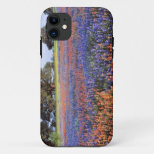 Coque iPhone 11 États-Unis, Texas, Llano. Bluebonnets et redbonne