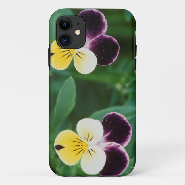 Coques Case-Mate iPhone États-Unis, Utah, Cache Valley, Johnny Jump Up (Dos)