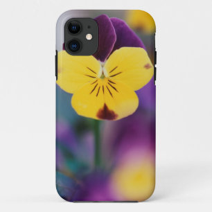 Case-Mate iPhone Case États-Unis, Utah, gros plan de Viola tricolor dans