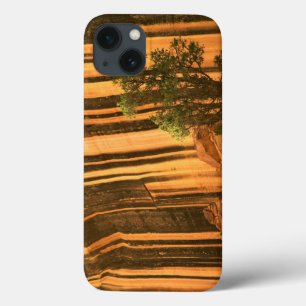 iPhone 13 Case États-Unis, Utah, parc national de Capitol Reef