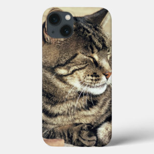 iPhone 13 Coque États-Unis, Utah, Parc national de Capitol Reef. C