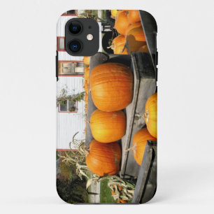 Coques Pour iPhone États-Unis, Vermont. Citrouilles